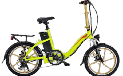 Folding Ebike TDN02Z